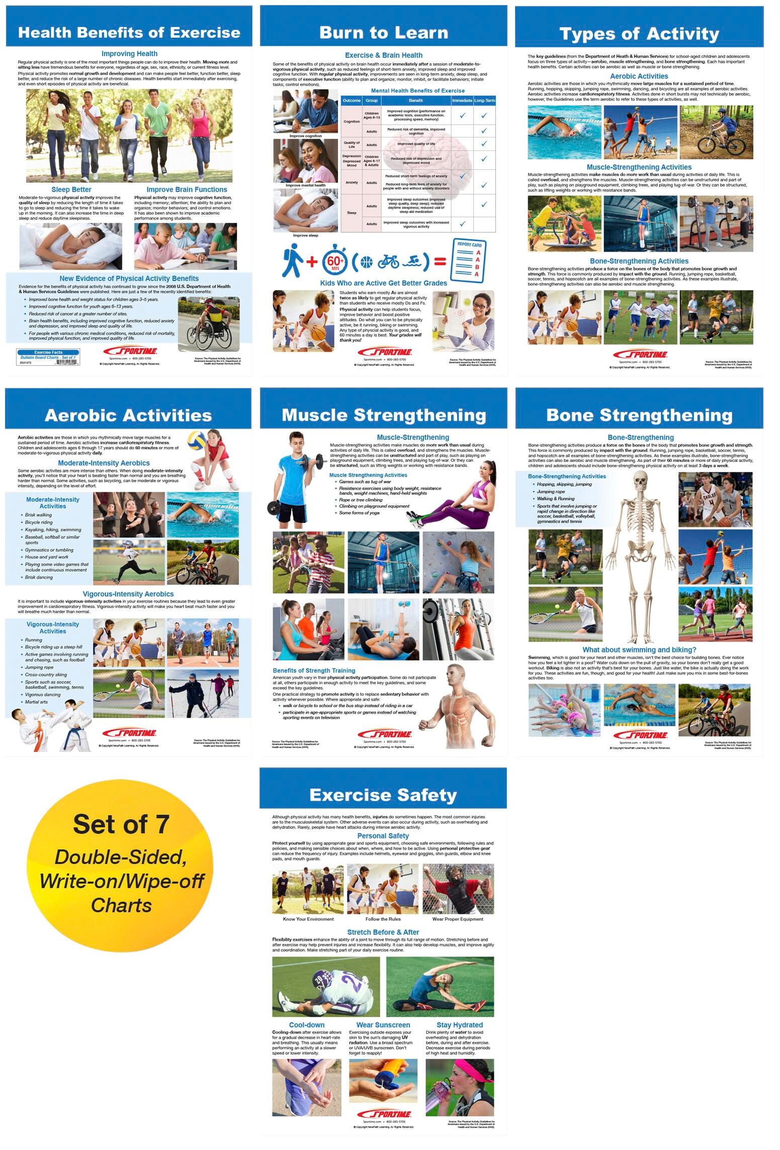 Image for Sportime Exercise Facts Bulletin Board Charts, Set of 7, Grades 5 to 12 from School Specialty